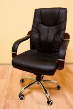 Elegant Leather Executive Chair #119-1