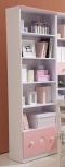 Bookcase – gloss paint - wait